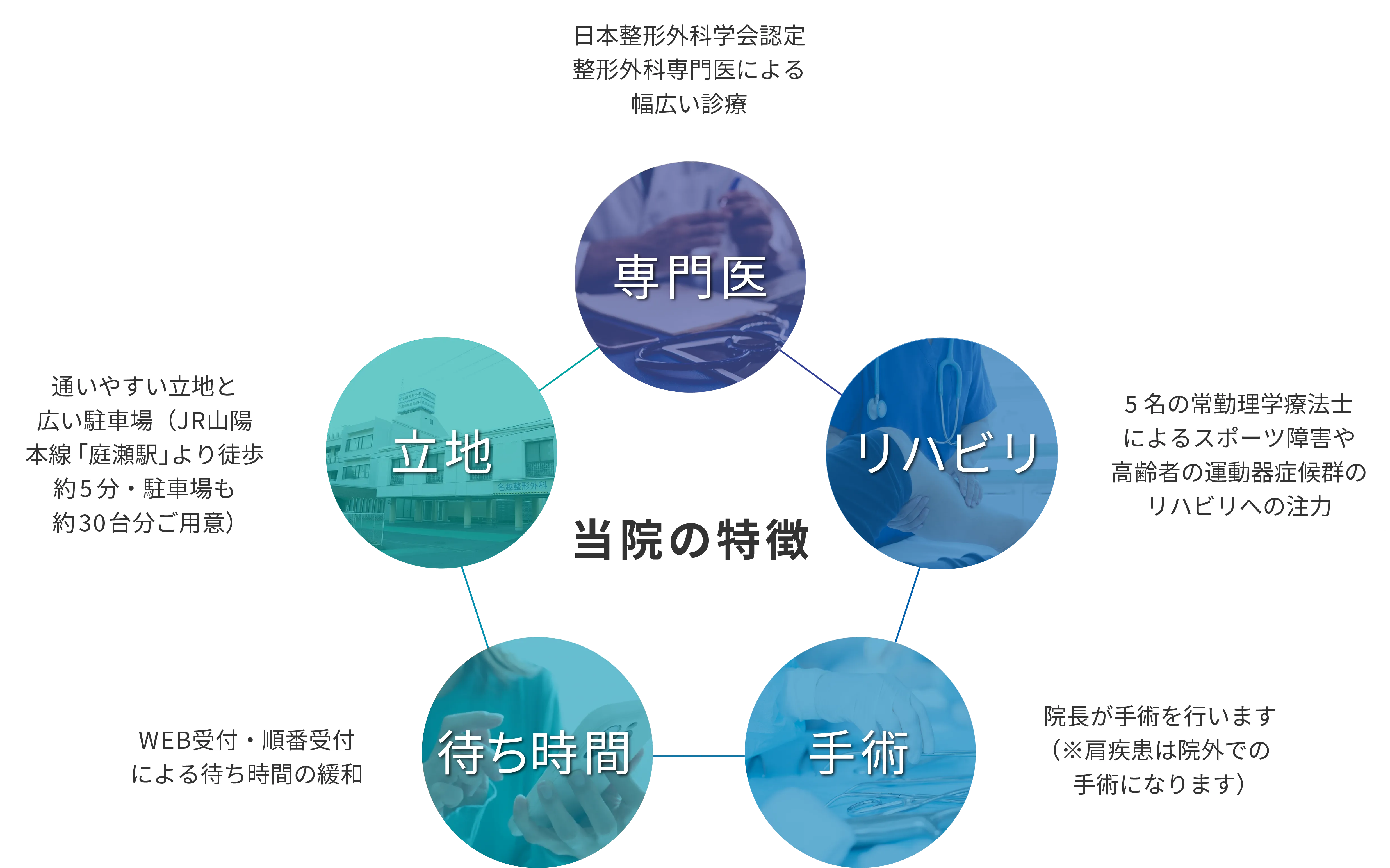 特徴