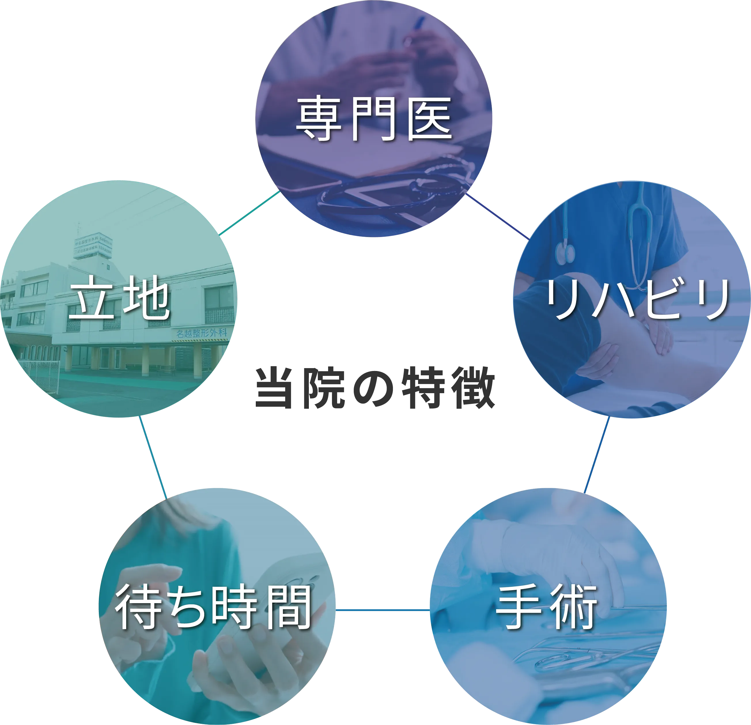 特徴